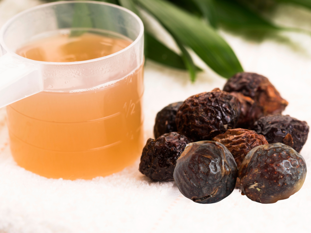 How to Use Soap Nuts and Soap Nuts Liquid Recipe soap berries