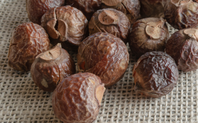 Soap Nuts Sensitive Skin Laundry (My Honest Experience + Why I’ll Never Go Back)